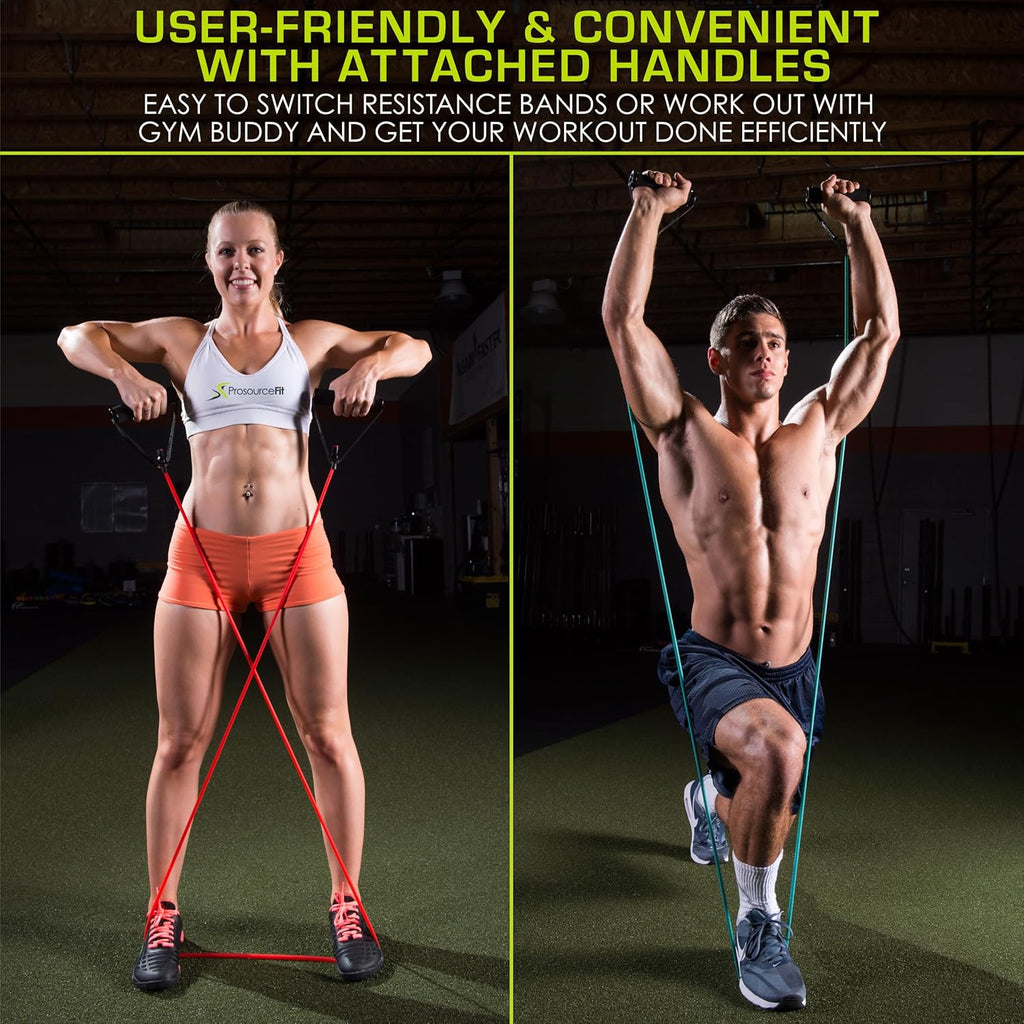 Tube Resistance Bands Set 2 - 20 LB with Attached Handles, Door Anchor and Exercise Guide Full-Body Exercises and Home Workouts